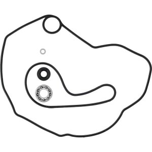 Polaris ACE 500 Water Pump Rebuild Kit - Vertex Pistons - `17-`19